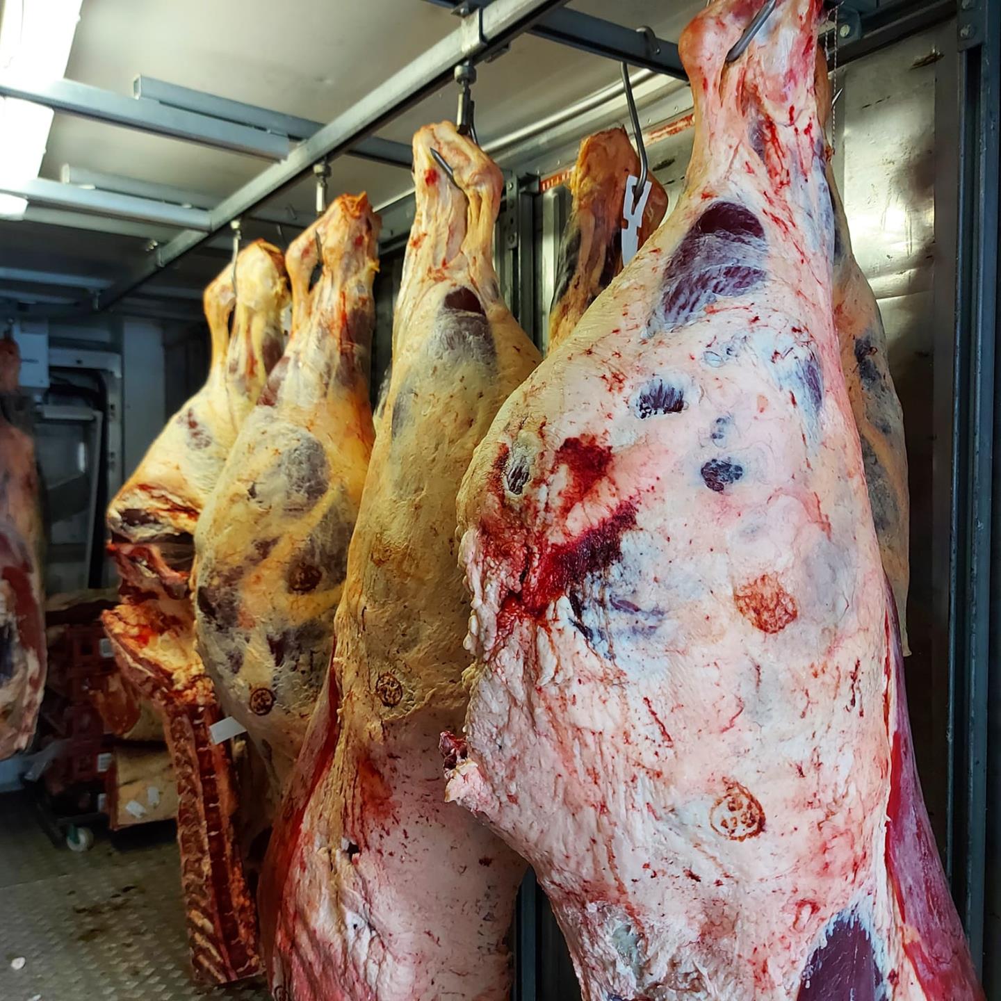 smithandclay-butchers-Carcass 1